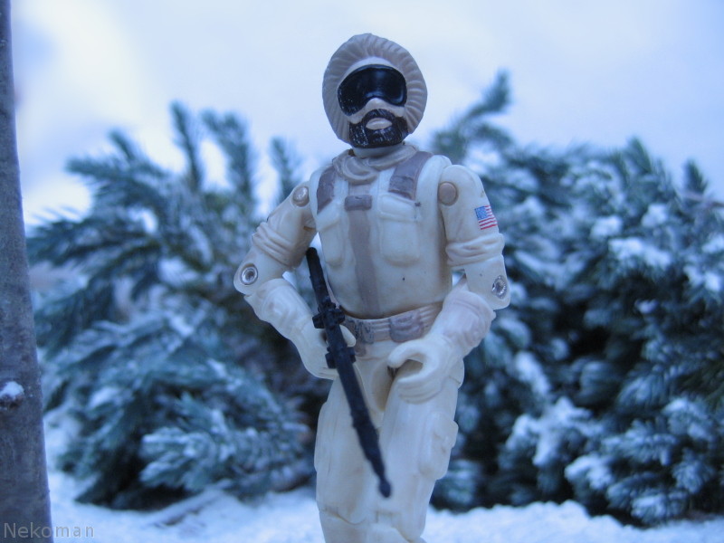 Whiteout GI Joe ARAH ARAHC Snowjob vintage action figure repaint 2000 hasbro